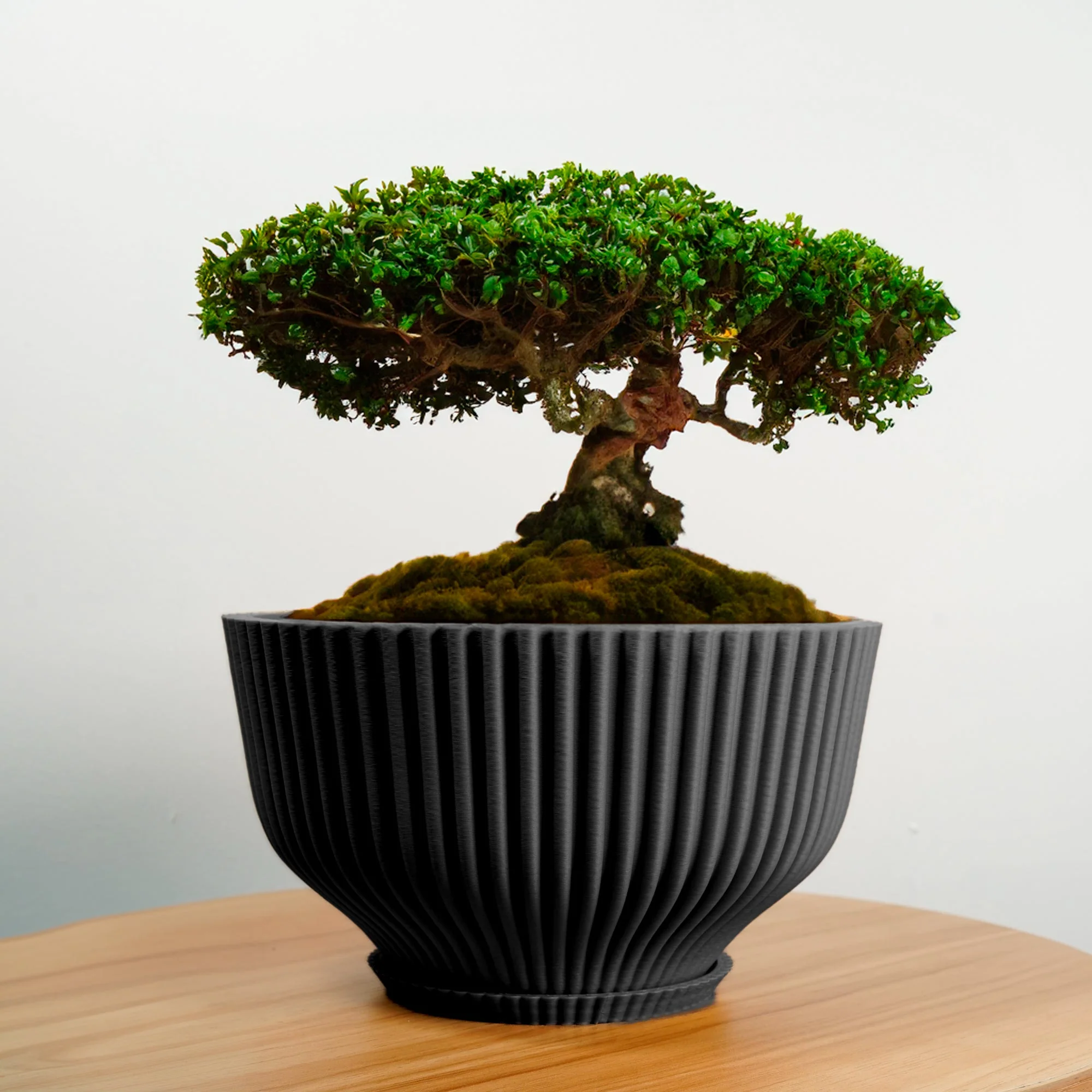 Bonsai Pot with Drainage & Tray - Image 15