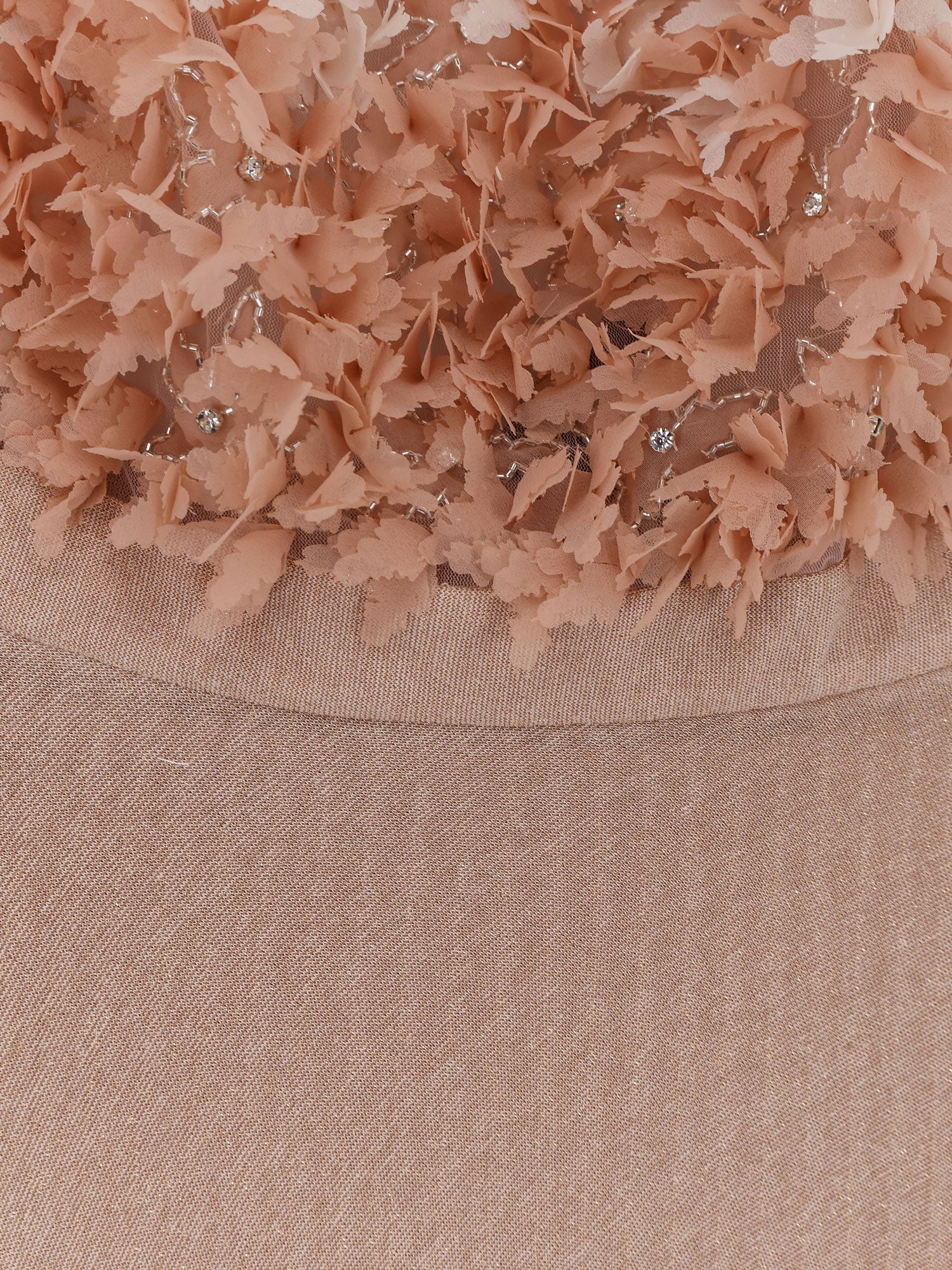 Evening Gown Pink Voile - Image 3