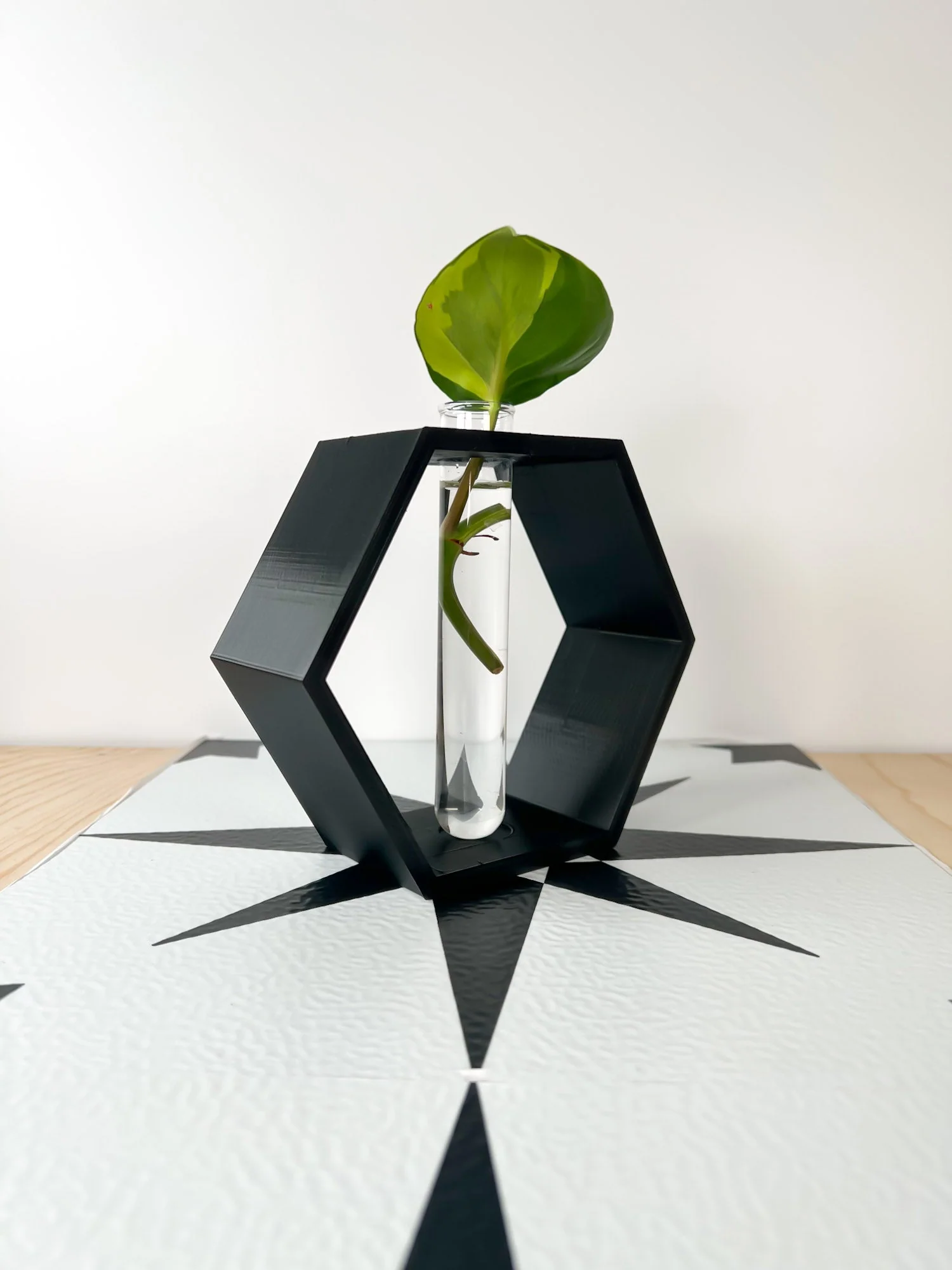 Hexagon Propagation Station - Image 5