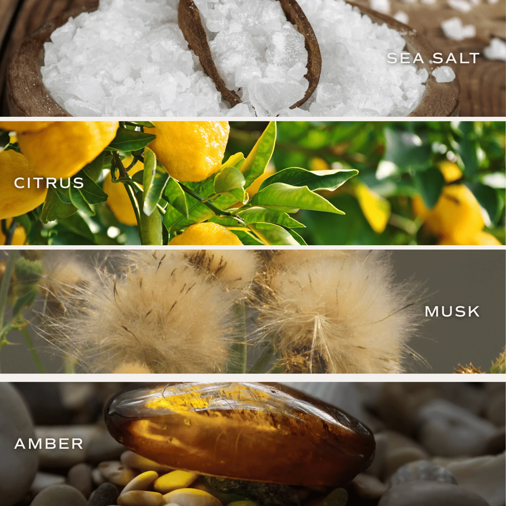 Salt and Sea Clear Reed Diffuser - Image 5